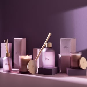 La gamme "Accords Essentiels" de JLine